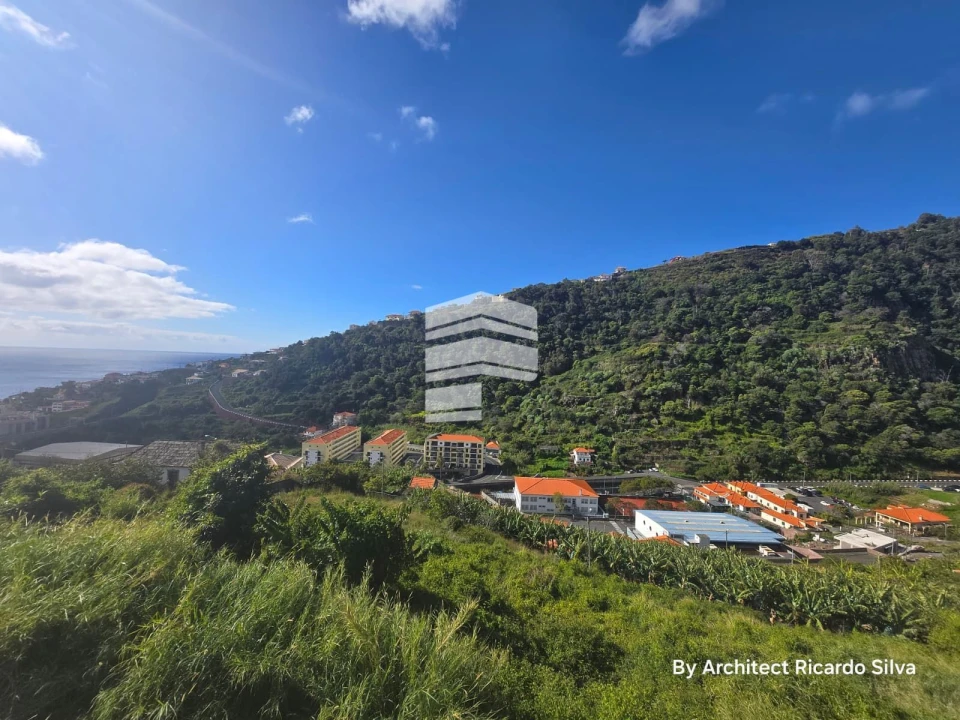 Terreno P/ Prédio para Venda em Santa Cruz Foto 5