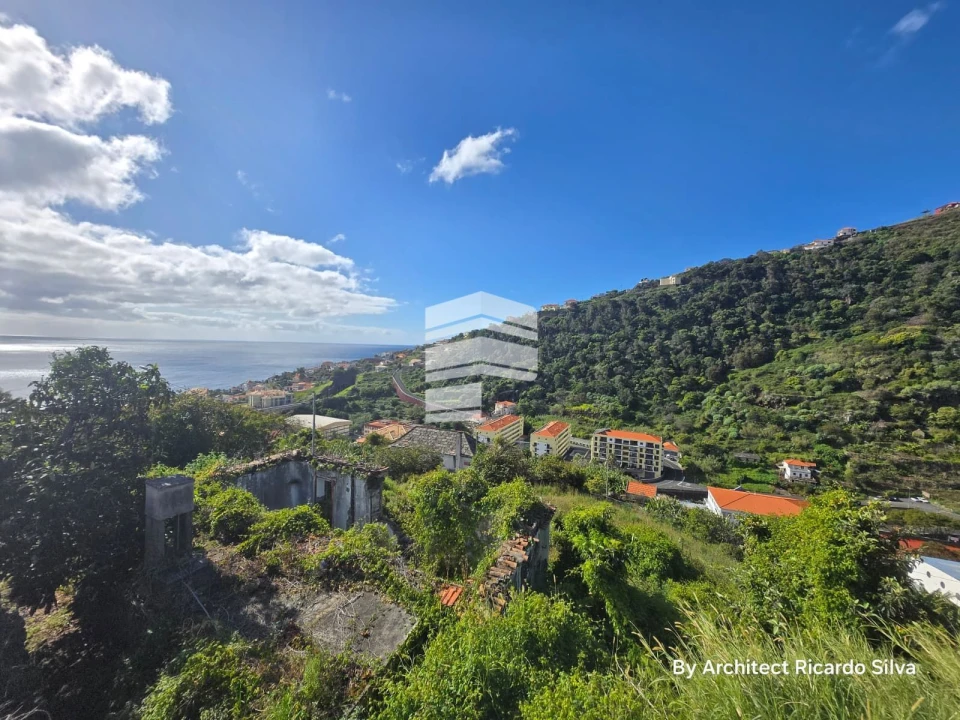 Terreno P/ Prédio para Venda em Santa Cruz Foto 9