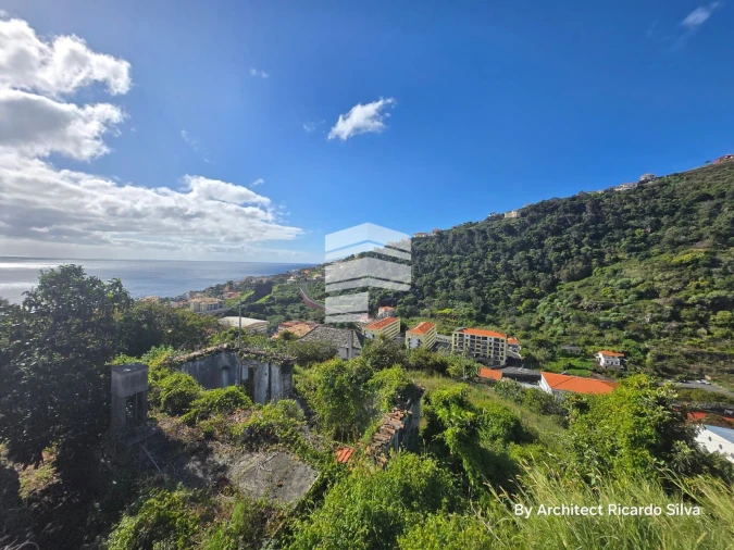 Terreno P/ Prédio para Venda em Santa Cruz Foto 9