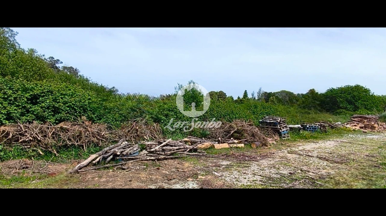 Terreno Agricola ou Rústico para Venda em Apúlia e Fão Foto 5