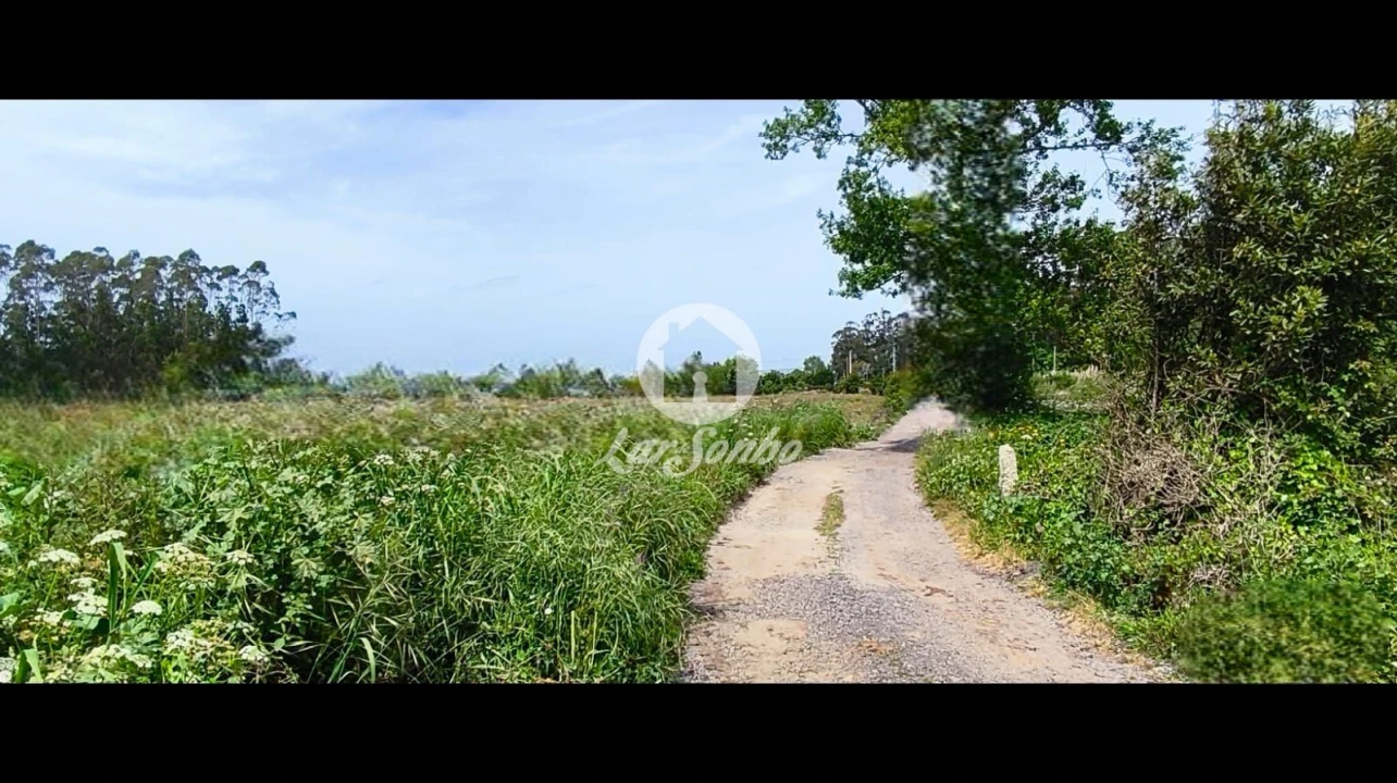 Terreno Agricola ou Rústico para Venda em Apúlia e Fão Foto 7