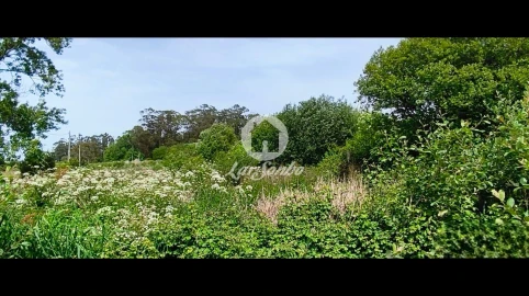 Terreno Agricola ou Rústico para Venda em Apúlia e Fão