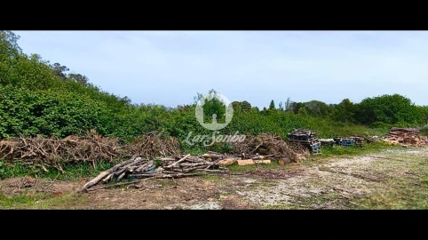Terreno Agricola ou Rústico para Venda em Apúlia e Fão