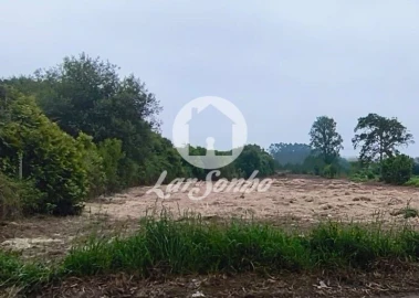 Terreno Agricola ou Rústico para Venda em Apúlia e Fão