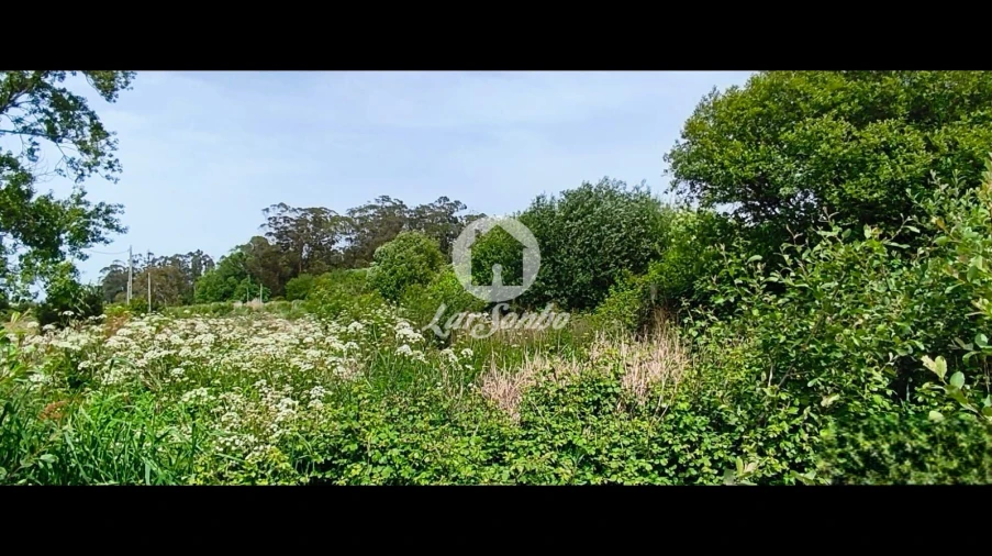 Terreno Agricola ou Rústico para Venda em Apúlia e Fão Foto 2