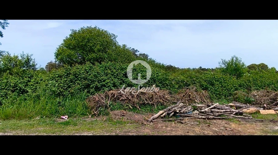 Terreno Agricola ou Rústico para Venda em Apúlia e Fão Foto 6