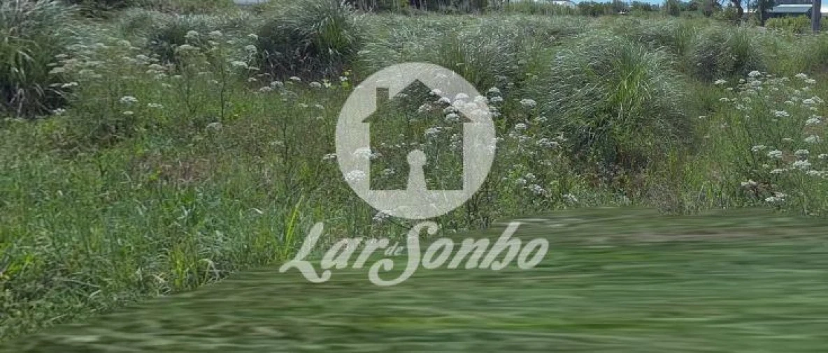 Terreno Agricola ou Rústico para Venda em Apúlia e Fão Foto 9