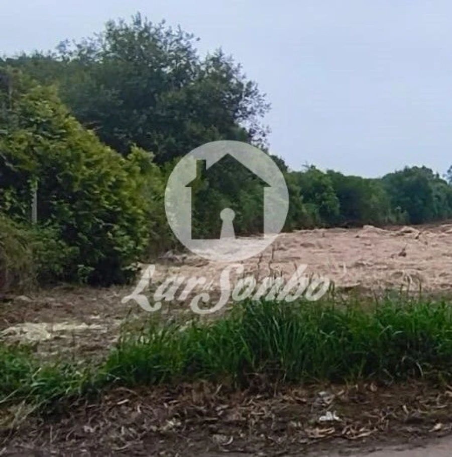 Terreno Agricola ou Rústico para Venda em Apúlia e Fão Foto 4