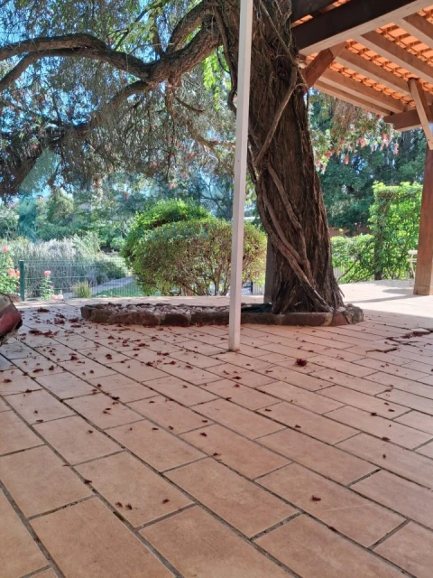 Moradia T4 para Venda em Silves