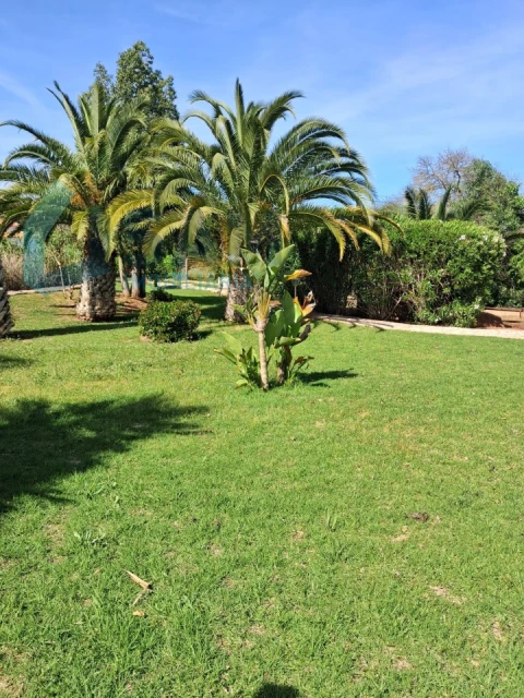 Moradia T4 para Venda em Silves