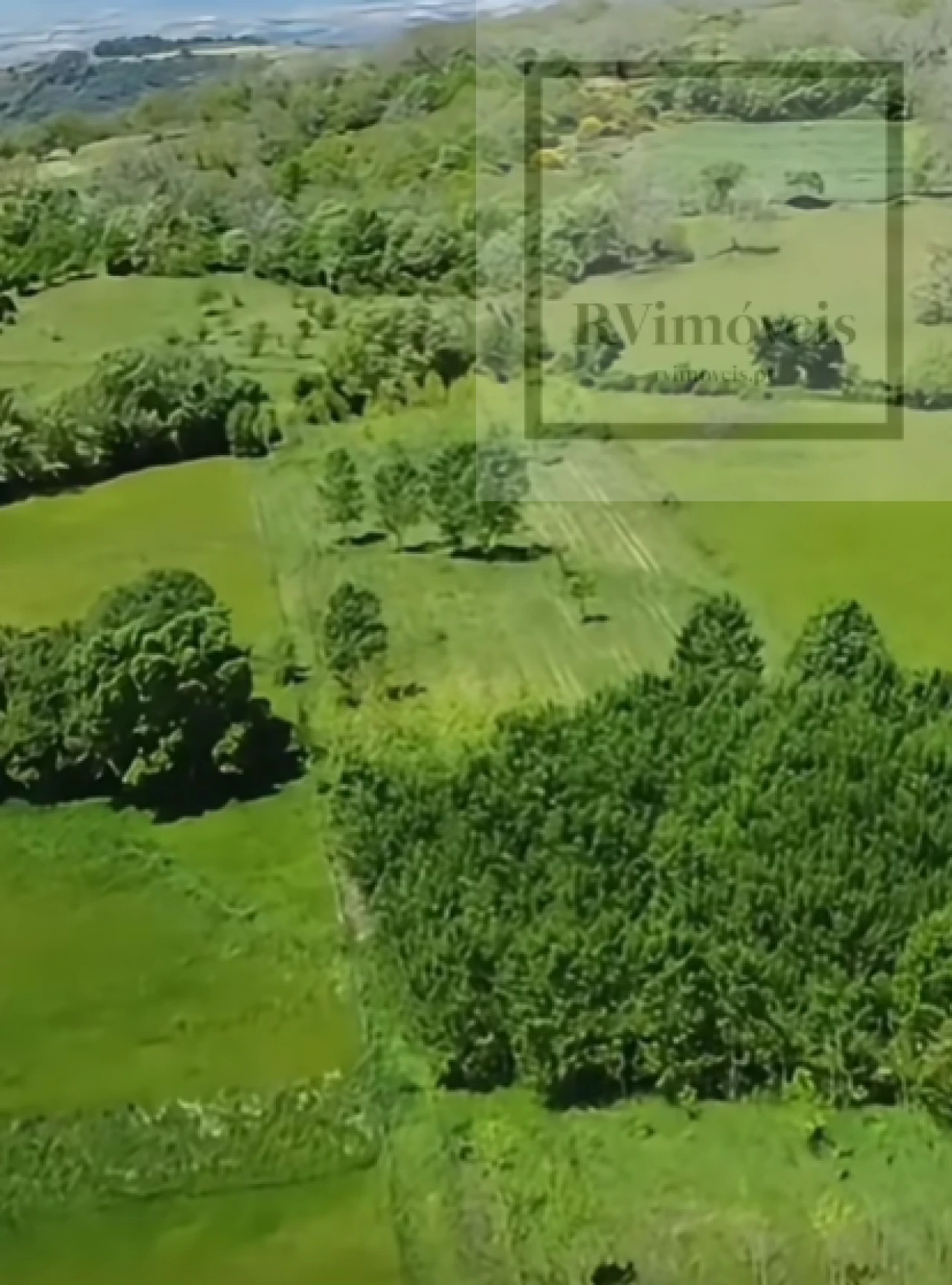 Quinta T3 para Venda em Tuizelo Foto 8