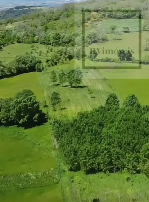 Quinta T3 para Venda em Tuizelo