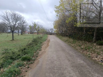 Quinta T3 para Venda em Tuizelo