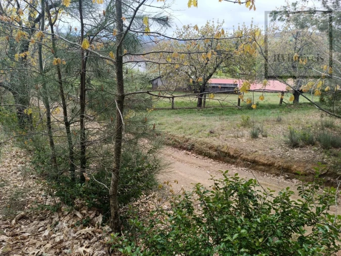 Quinta T3 para Venda em Tuizelo Foto 27