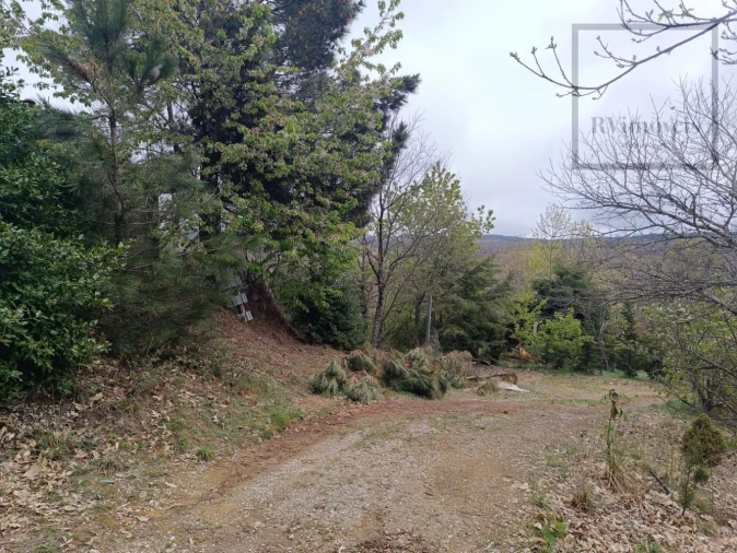 Quinta T3 para Venda em Tuizelo Foto 30