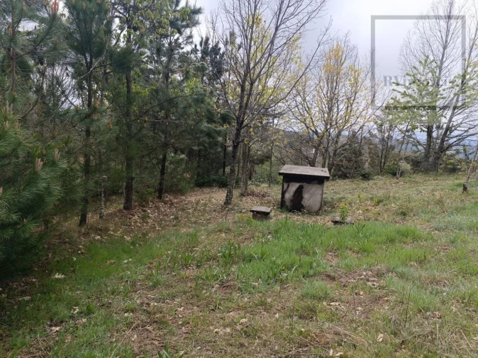 Quinta T3 para Venda em Tuizelo Foto 28