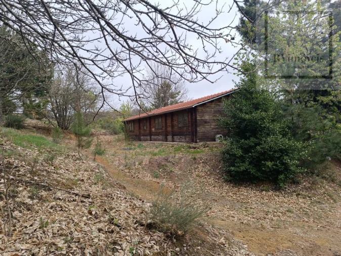 Quinta T3 para Venda em Tuizelo Foto 15