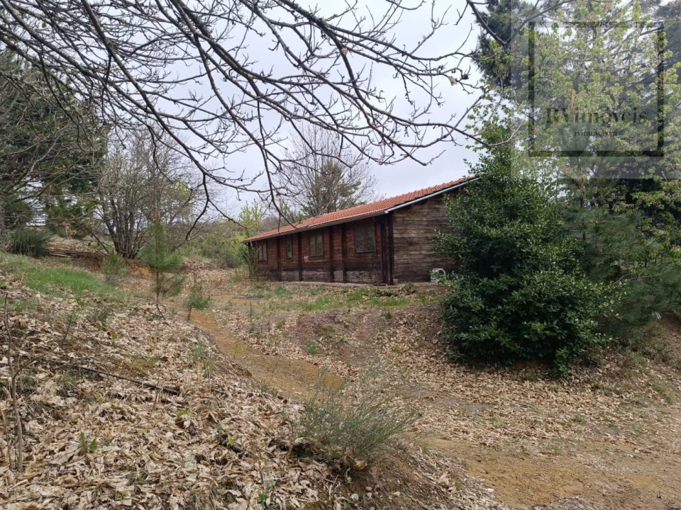 Quinta T3 para Venda em Tuizelo Foto 15