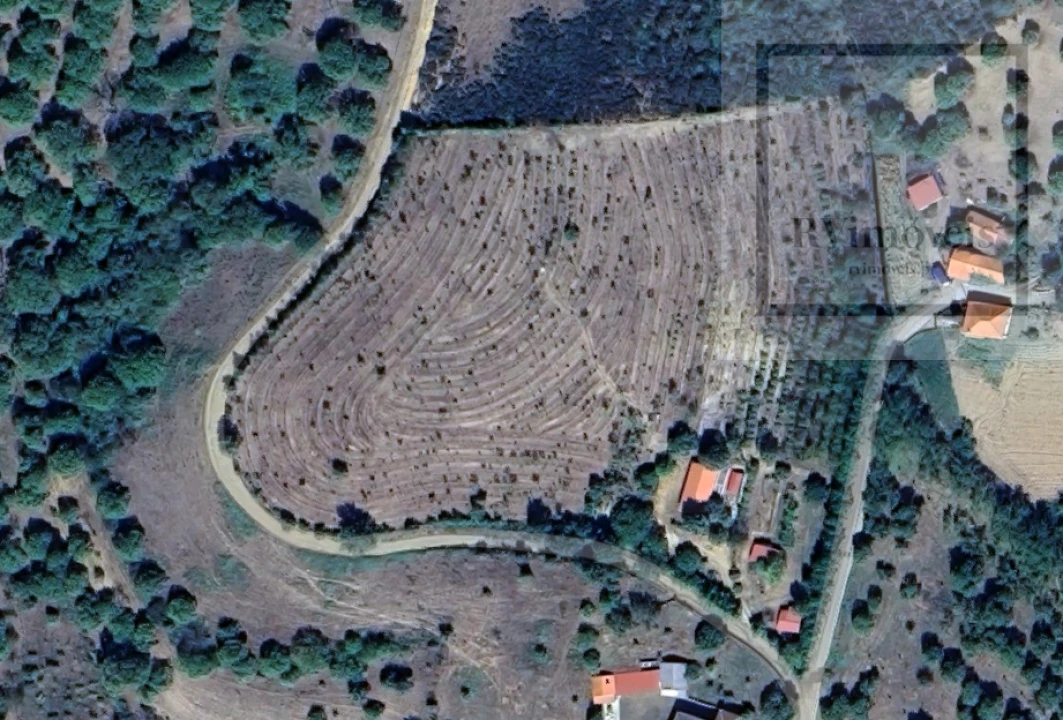 Quinta T3 para Venda em Tuizelo Foto 4