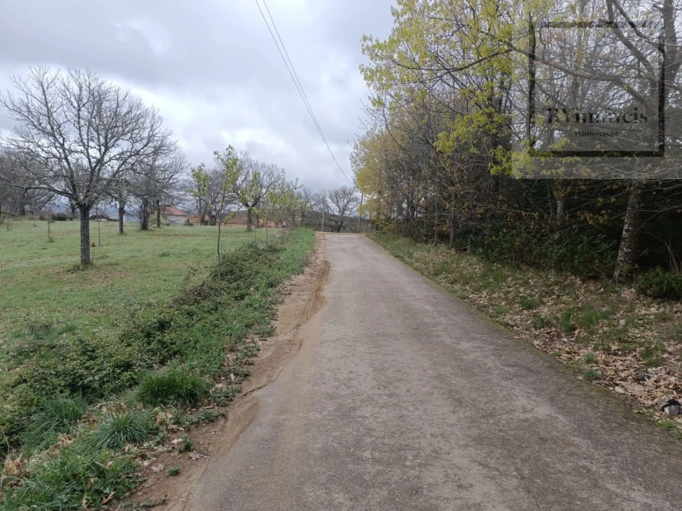 Quinta T3 para Venda em Tuizelo Foto 9