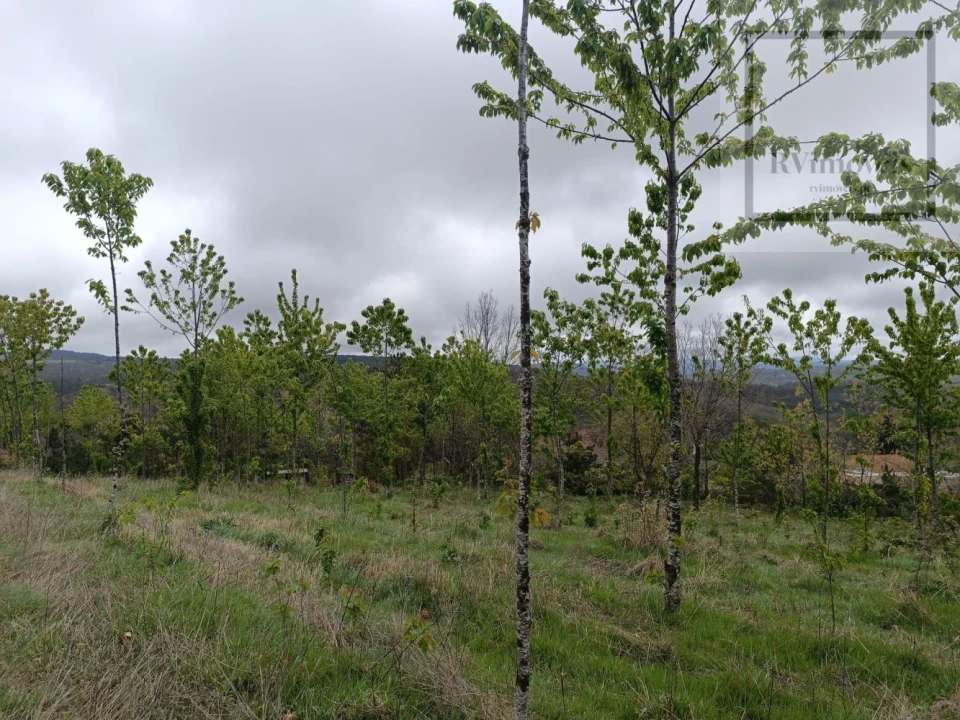 Quinta T3 para Venda em Tuizelo Foto 29