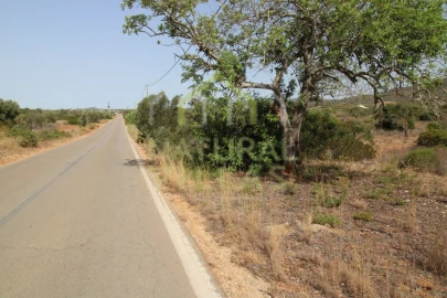 Terreno Agricola ou Rústico para Venda em Quelfes