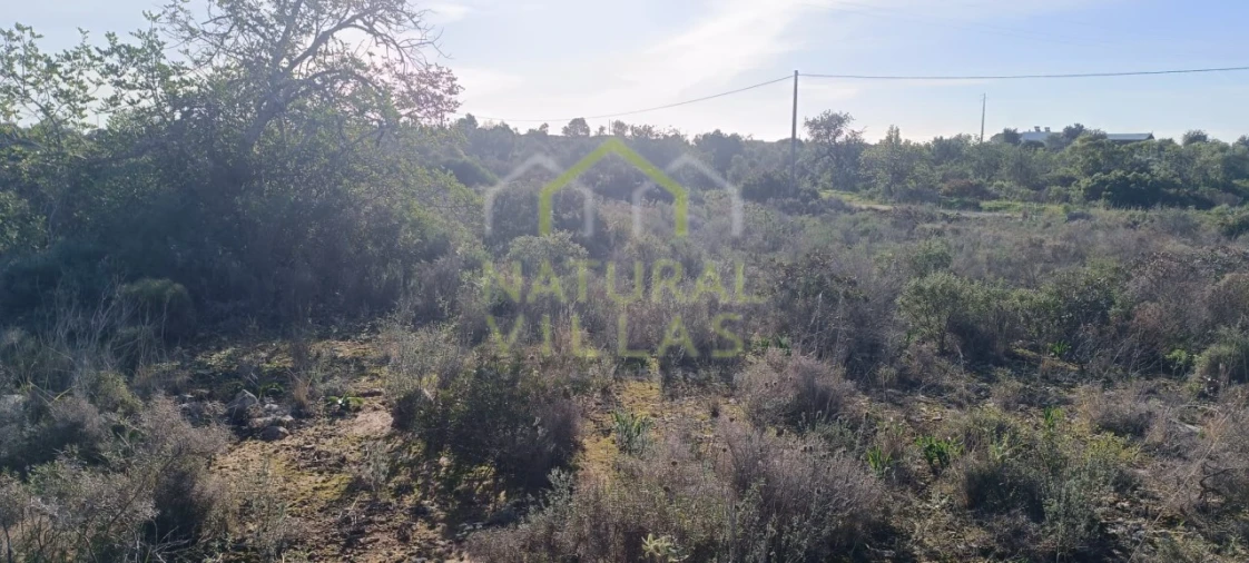Terreno Agricola ou Rústico para Venda em Quelfes Foto 2