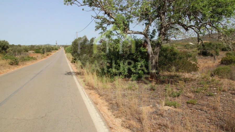 Terreno Agricola ou Rústico para Venda em Quelfes