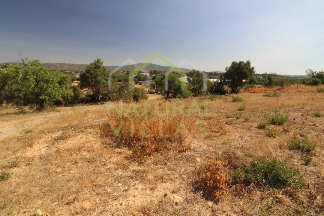 Terreno Agricola ou Rústico para Arrendamento em Pechão Foto 5