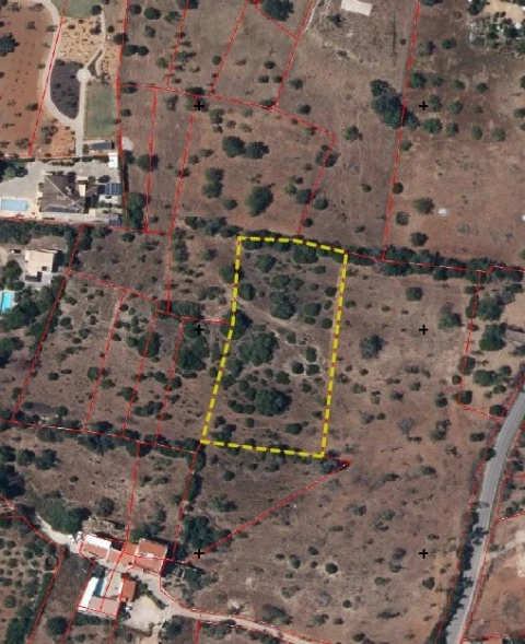 Terreno Agricola ou Rústico para Arrendamento em Pechão