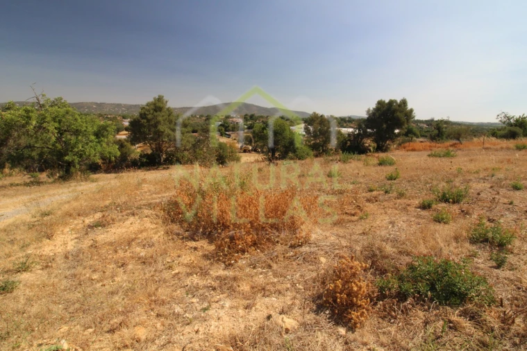 Terreno Agricola ou Rústico para Arrendamento em Pechão Foto 5