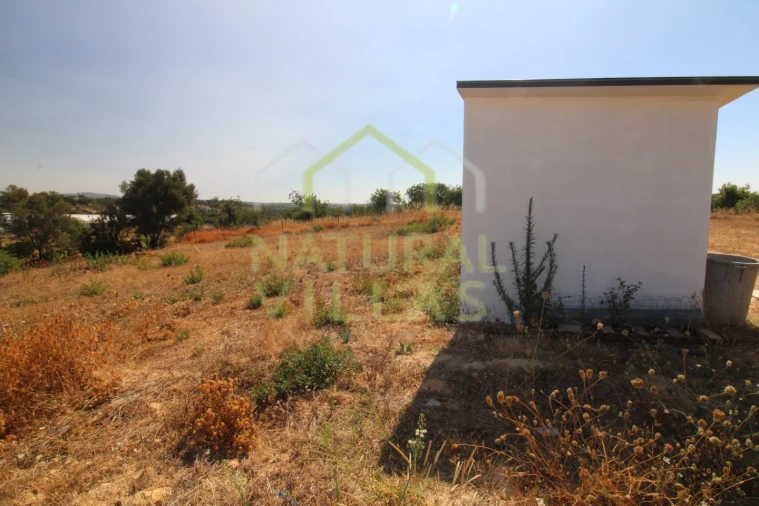 Terreno Agricola ou Rústico para Arrendamento em Pechão Foto 2
