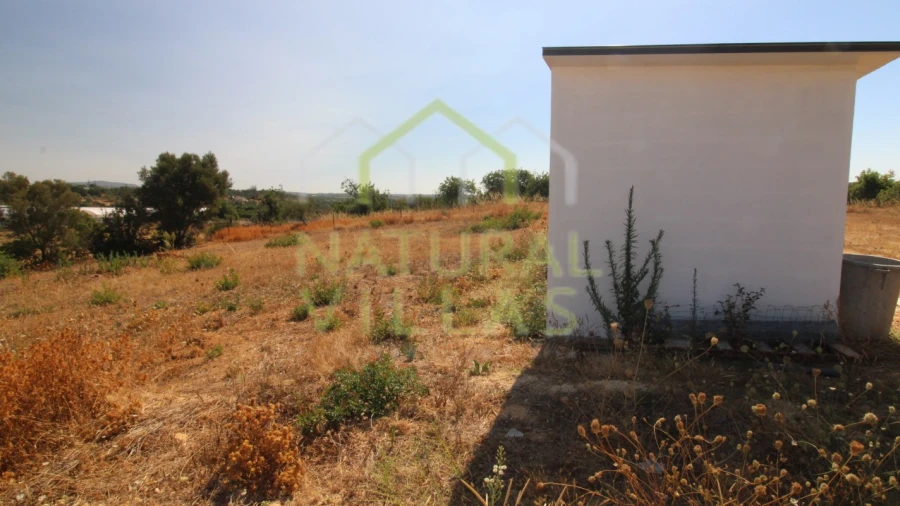 Terreno Agricola ou Rústico para Arrendamento em Pechão