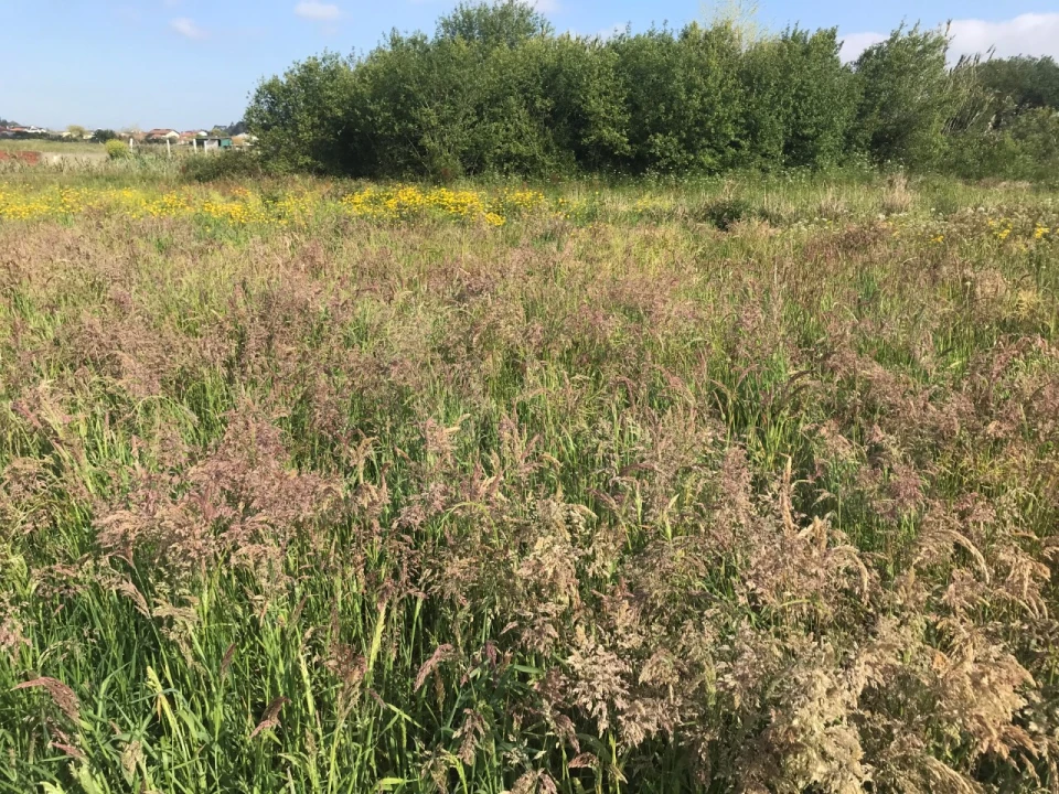 Terreno para Venda em Beduído e Veiros Foto 3