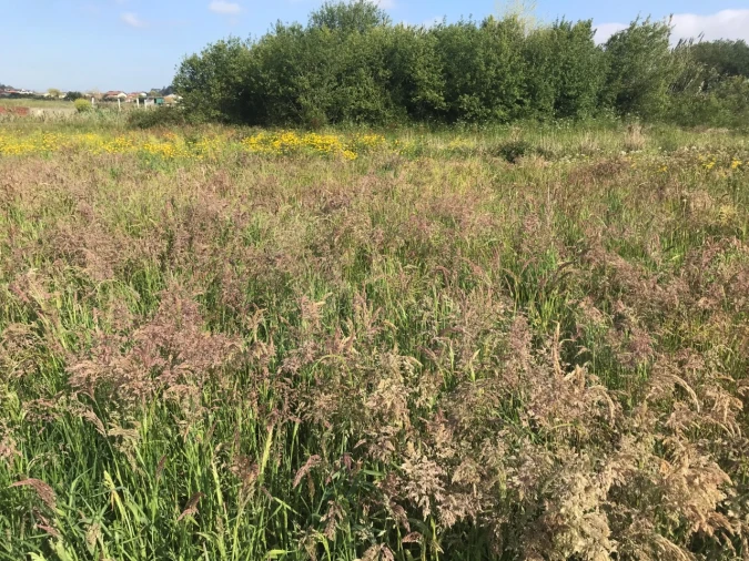 Terreno para Venda em Beduído e Veiros Foto 3