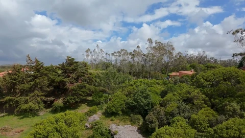 Terreno para Venda em Reguengo Grande