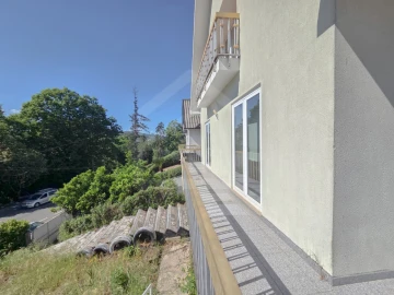 Moradia T4 para Venda em Pombeiro de Ribavizela