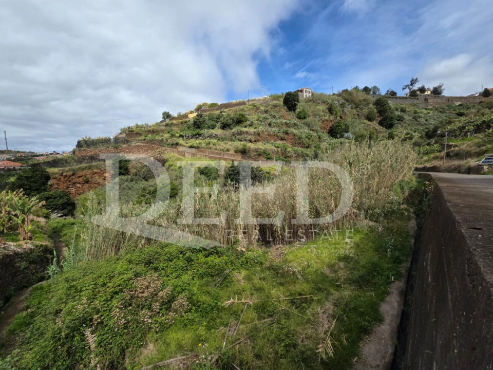 Terreno Agricola ou Rústico para Venda em Ponta do Sol Foto 1