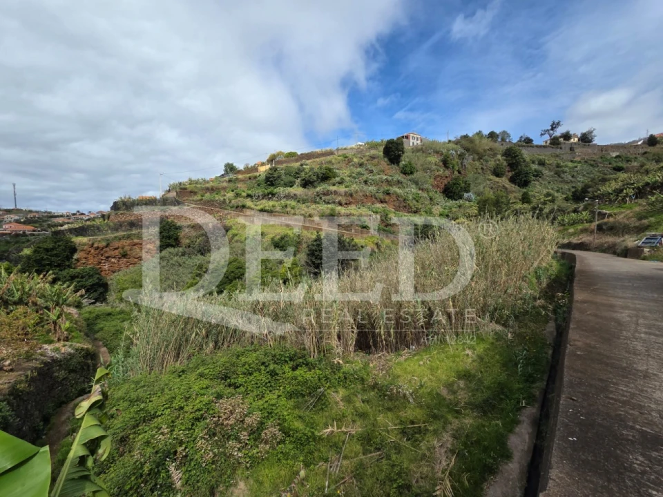 Terreno Agricola ou Rústico para Venda em Ponta do Sol Foto 3