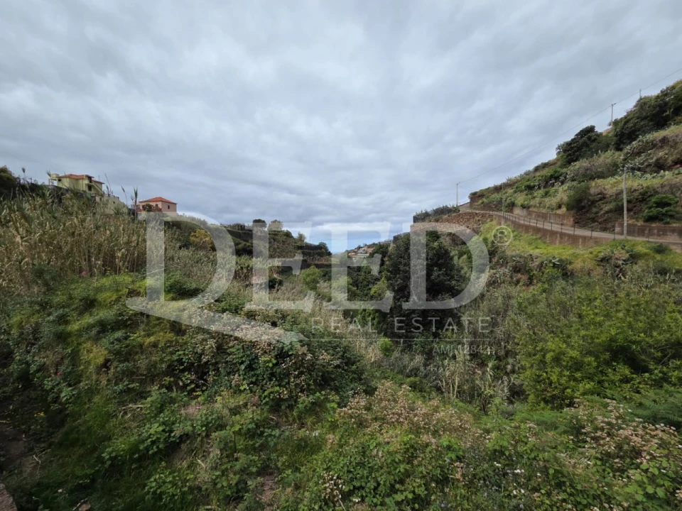 Terreno Agricola ou Rústico para Venda em Ponta do Sol Foto 5