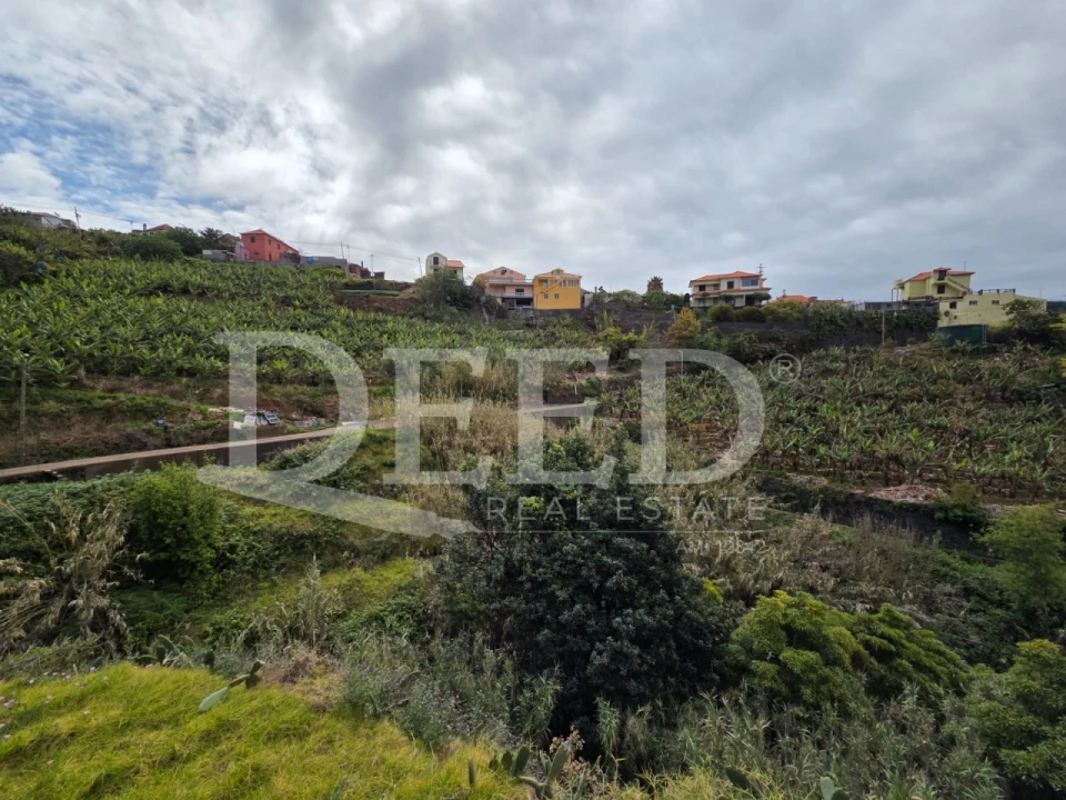 Terreno Agricola ou Rústico para Venda em Ponta do Sol Foto 7