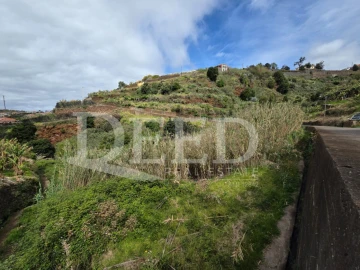 Terreno Agricola ou Rústico para Venda em Ponta do Sol