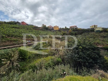 Terreno Agricola ou Rústico para Venda em Ponta do Sol