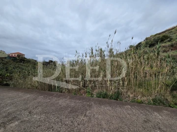 Terreno Agricola ou Rústico para Venda em Ponta do Sol