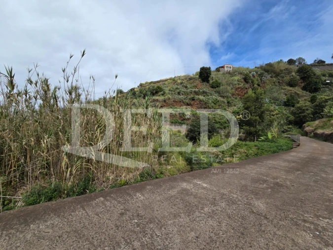 Terreno Agricola ou Rústico para Venda em Ponta do Sol Foto 2