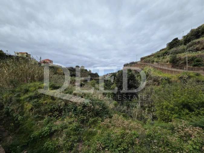Terreno Agricola ou Rústico para Venda em Ponta do Sol Foto 5