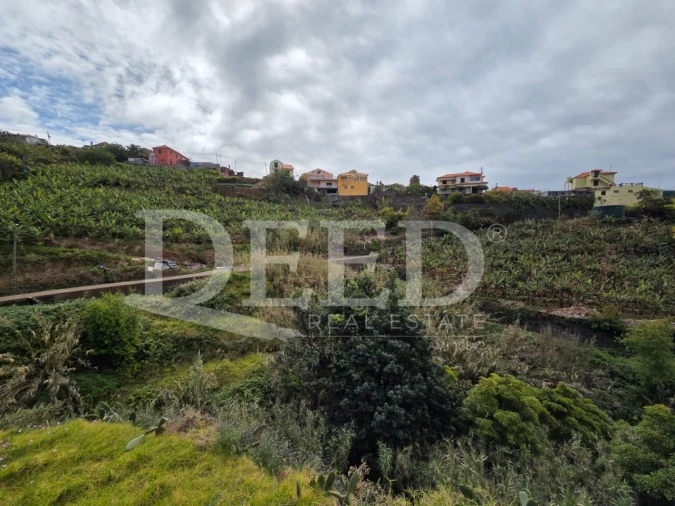 Terreno Agricola ou Rústico para Venda em Ponta do Sol Foto 7