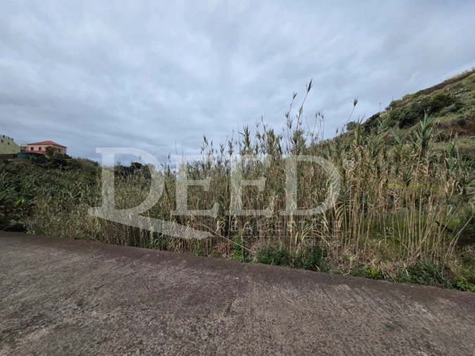 Terreno Agricola ou Rústico para Venda em Ponta do Sol Foto 9