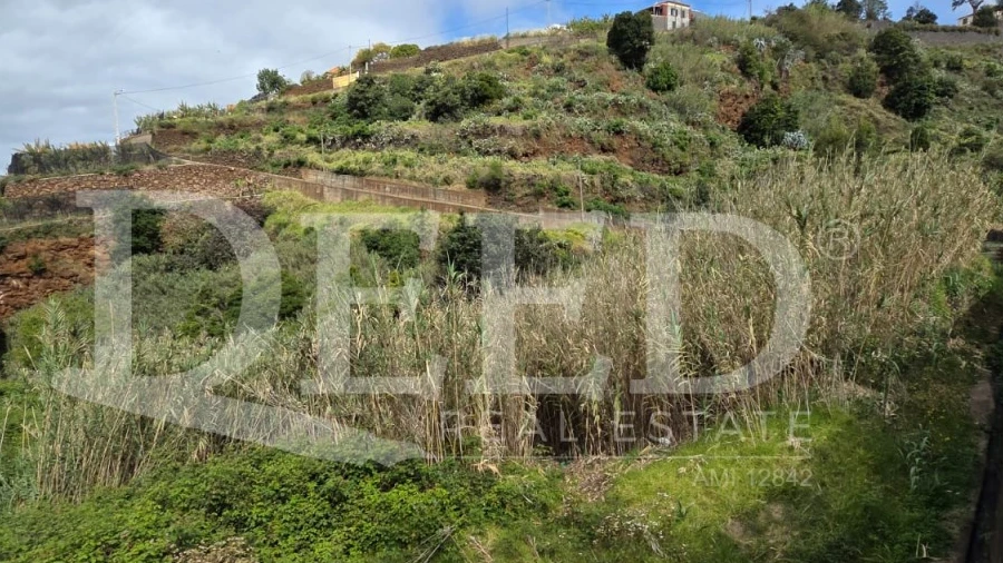 Terreno Agricola ou Rústico para Venda em Ponta do Sol