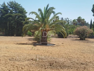 Moradia T5 para Venda em Aveiras de Cima
